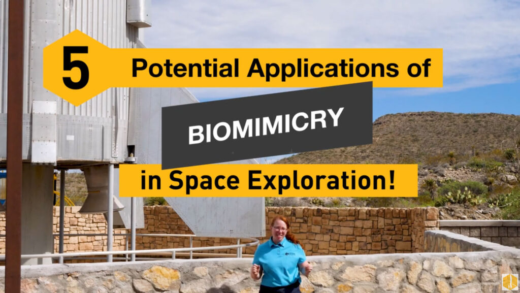 5 Potential Applications for Biomimicry in Space Exploration